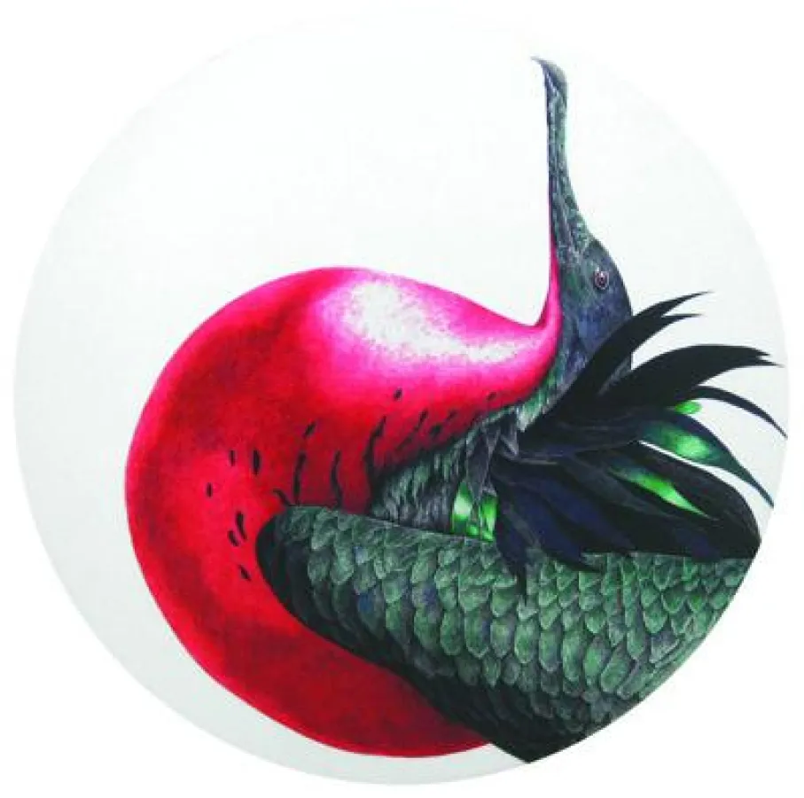 Masakazu Kondo: Prachtfregattvogel, 2009,  Kugelschreiber auf Papier auf MDF,  Durchmesser: 122 cm, im schwarzen Holzrahmen