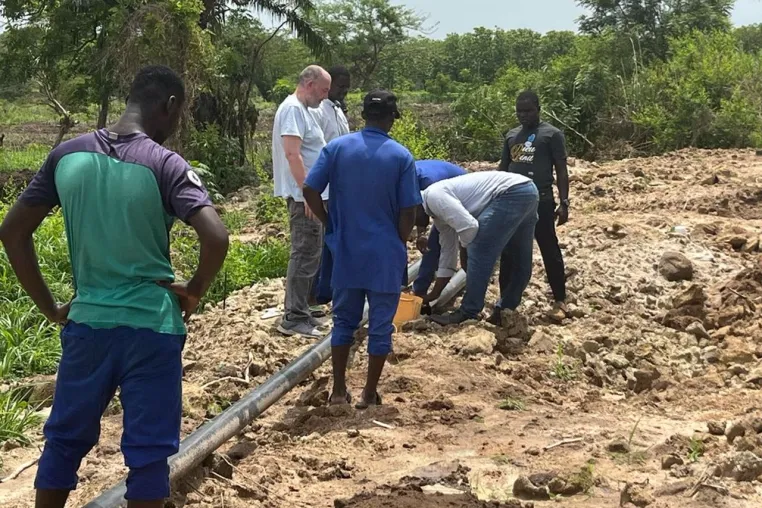 Bild: Praxisnahe Unterstützung der Aquakulturausbildung in Togo – Erfolgreicher Einsatz des SES-Experten am IFAD