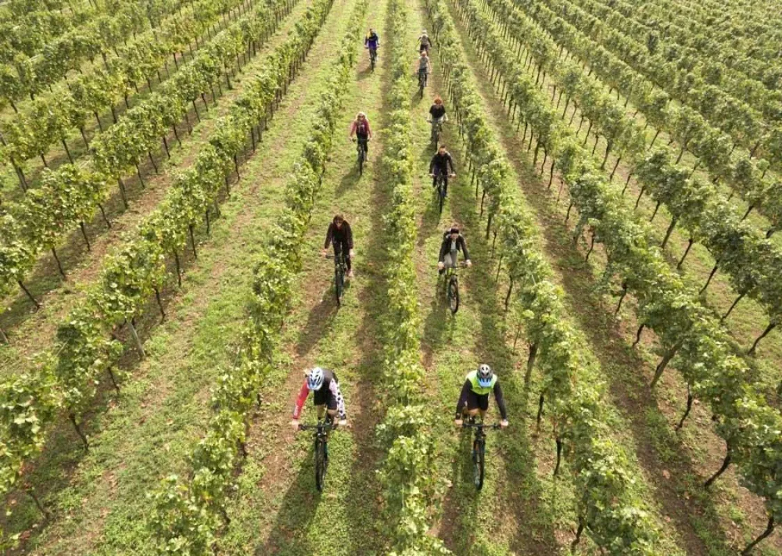 Franciacorta Weinfestival, Brescia, Italien