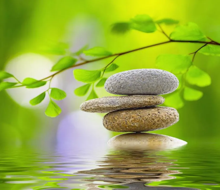 Bild: Fotolia_44144007_S, kristin kreet - Fotolia