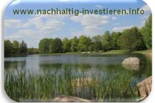 Ethisch nachhaltige Geldanlagen im Sinne des Franziskanerordens Bild: Ethisch nachhaltige Geldanlagen im Sinne des Franziskanerordens