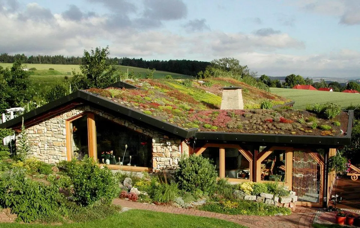 Ein grünes Dach sieht nicht nur schön aus, sondern spart auch Energiekosten. Foto: Re-Natur GmbH