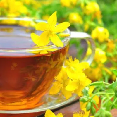 Bild: Kleine Gesundheitsfibel für die Blumenwelt (Teil 1)
