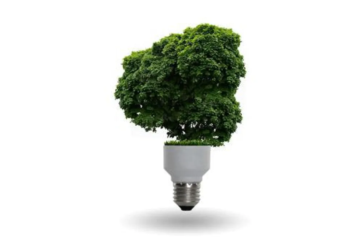 Zentrum Nachhaltigkeit - Institute for Corporate Sustainability