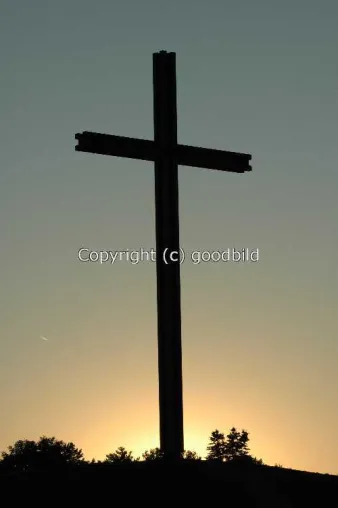 Aktuelle Bilder von der Papstwiese bei goodbild eingestellt Bild: Aktuelle Bilder von der Papstwiese bei goodbild eingestellt