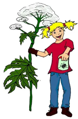 Bild: Zecken, Wespen, Riesenbärenklau: Präventionsplakate für Schulen