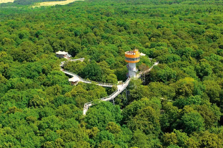 Bild: Zehn Jahre Baumkronenpfad – eine Erfolgsgeschichte im UNESCO-Weltnaturerbe Nationalpark Hainich
