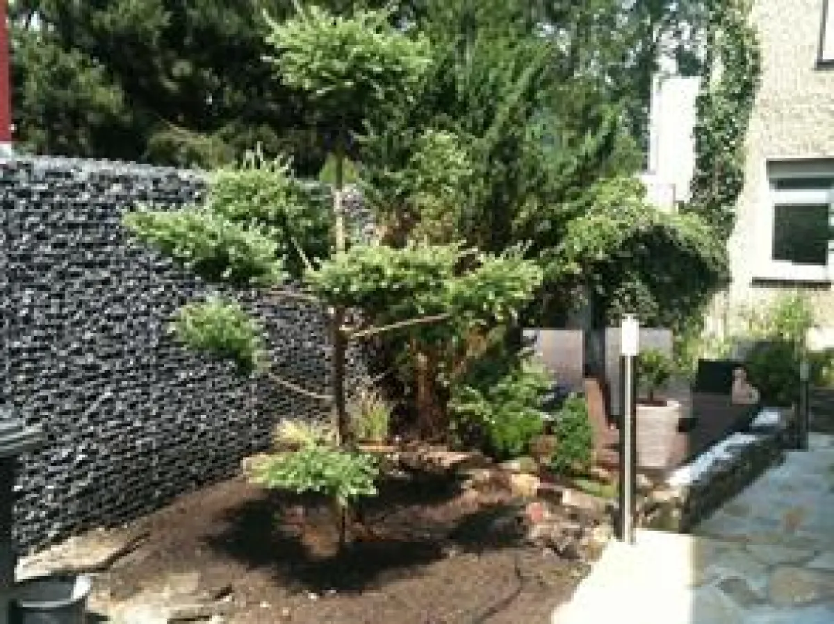 Das Bild zeigt eine dekorative Gabionenwand in einem Garten. Foto: Gabionen Kaiser