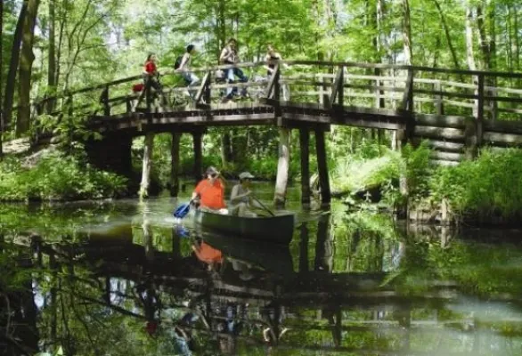 Bild: Ein Fleckchen Spreewald in Dresden