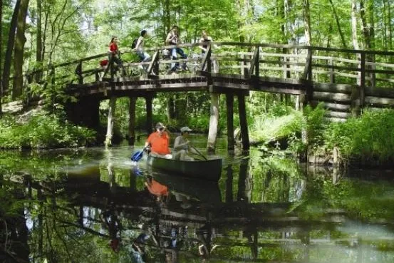 Bild: Ein Fleckchen Spreewald in Dresden