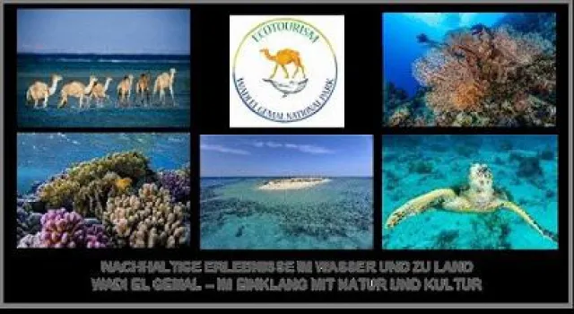 Bild: NACHHALTIGE ERLEBNISSE IM WASSER UND ZU LAND - WADI EL GEMAL – IM EINKLANG MIT NATUR UND KULTUR