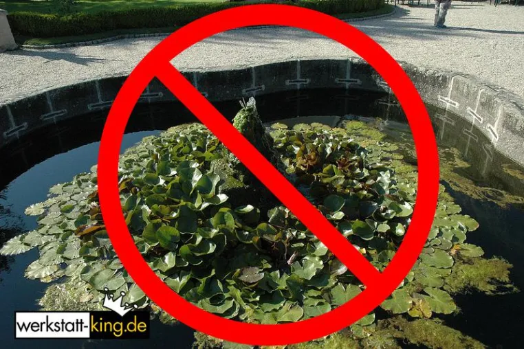 Heim & Garten: Tipps zur Algenvernichtung – Wirkung von Algiziden Bild: Heim & Garten: Tipps zur Algenvernichtung – Wirkung von Algiziden