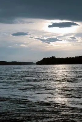 Bild: flow - Festival schafft Plattform für kreativen Austausch im Donauraum