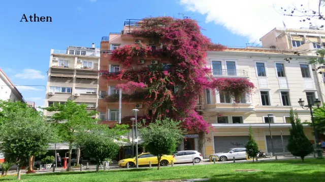 Bild: Griechenland im Frühjahr