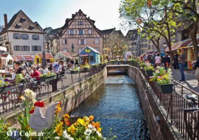 Bild: Osterglanz im Elsass