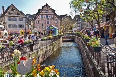 Bild: Osterglanz im Elsass