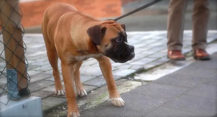 Bild: Notfall bei Minusgraden