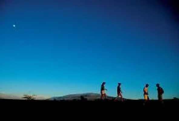 Bild: Über Stock und Lavagestein