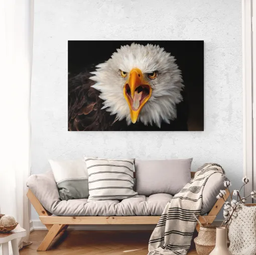 Neu bei Wandbilderonline.de: Digitaler Bilder Download – Schnell. Einfach. Sofort verfügbar Bild: Neu bei Wandbilderonline.de: Digitaler Bilder Download – Schnell. Einfach. Sofort verfügbar