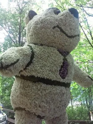 Bild: Die Natur essen, Narzissenfest Altaussee. Esst invasive Neophyten.