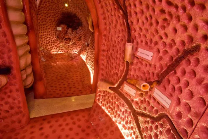 Leverkusen atmet auf, Tag der Lunge im St. Remigius Krankenhaus Bild: Leverkusen atmet auf, Tag der Lunge im St. Remigius Krankenhaus