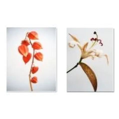 Bild: Künstler, vereinigt euch - Bei mygall.net