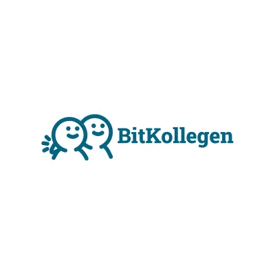 Bild: Pressemitteilung: BitKollegen - Ihr Partner für IT-Outsourcing