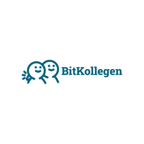 Bild: Pressemitteilung: BitKollegen - Ihr Partner für IT-Outsourcing