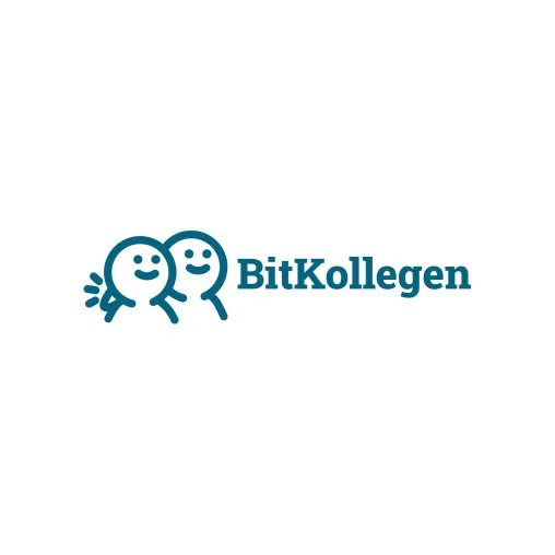 Bild: Pressemitteilung: BitKollegen - Ihr Partner für IT-Outsourcing