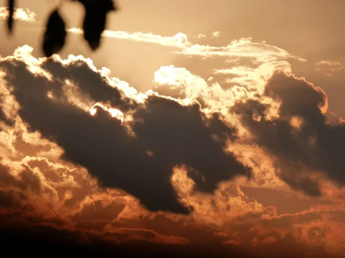 Crime Perception Unit (© Stefan H. Bosselmann)