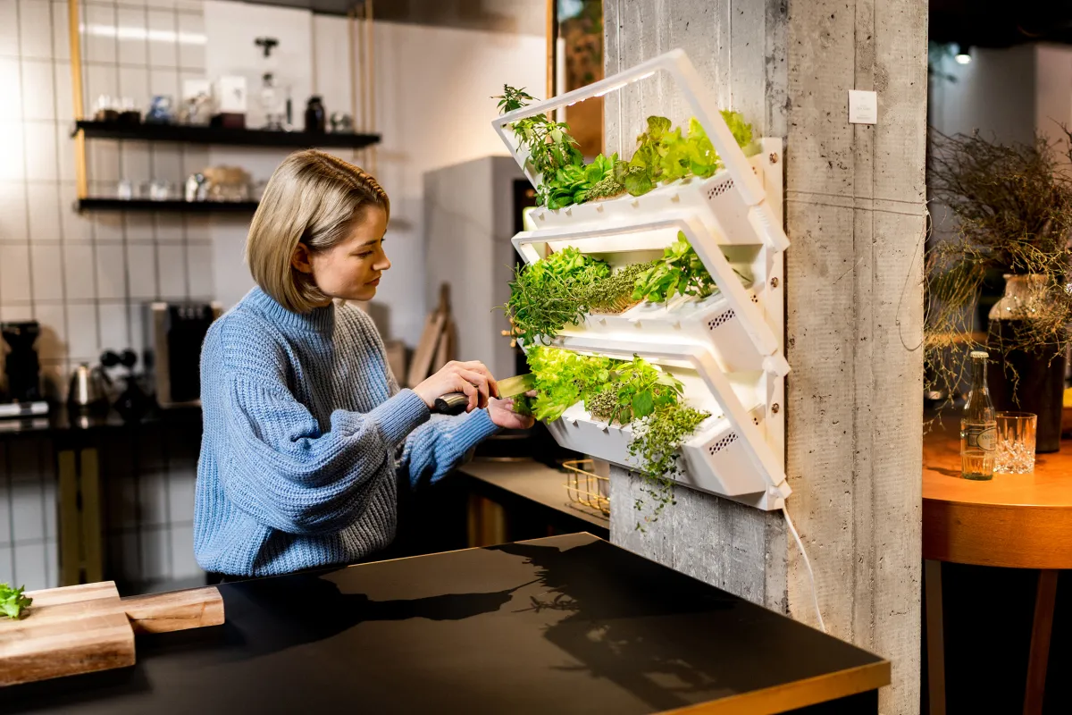 Die „homefarm“ ist ein smarter, platzsparender und pflegeleichter Indoor-Garten für die Küchenwand.  (© urbanhive)