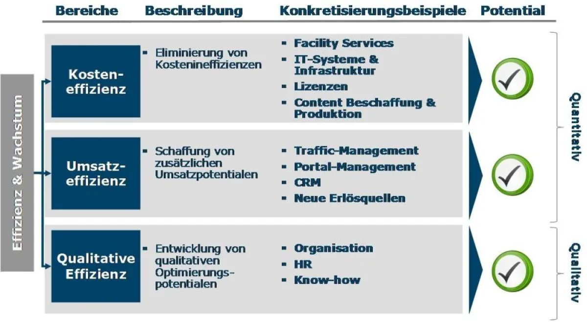 Übersicht der Effizienz- und Wachstumsbereiche (exemplarisch)