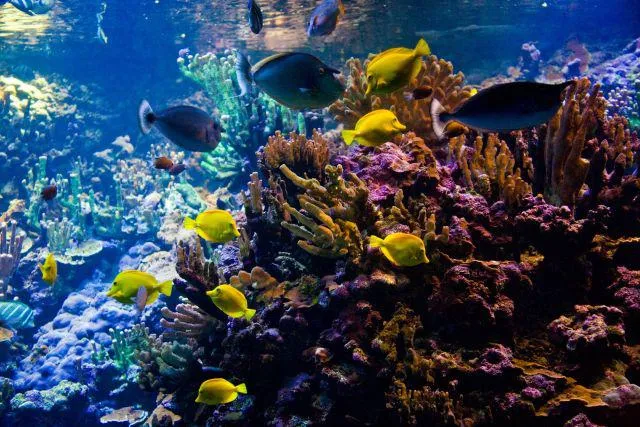 Unter Wasser im siebten Himmel Bild: Unter Wasser im siebten Himmel