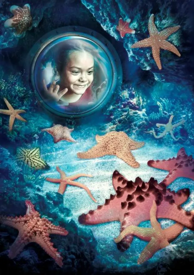 Bucht der Seesterne - SEA LIFE Speyer