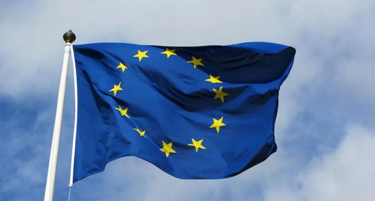 Europäische Vernetzung im LMS