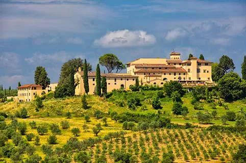 Mit Luxushütten erlesene Weine genießen Bild: Mit Luxushütten erlesene Weine genießen