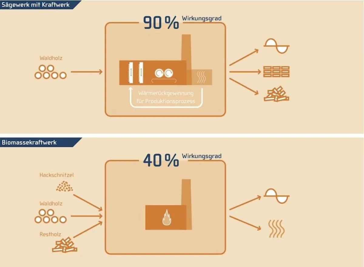 Die Holzindustrie ist der bessere energetische Nutzer (Copyright: BSHD).