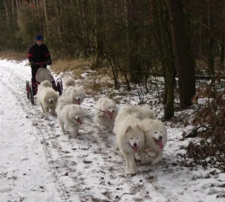 Bild: Winterferien, Frühlingstage oder Resturlaub in Braunlage verbringen