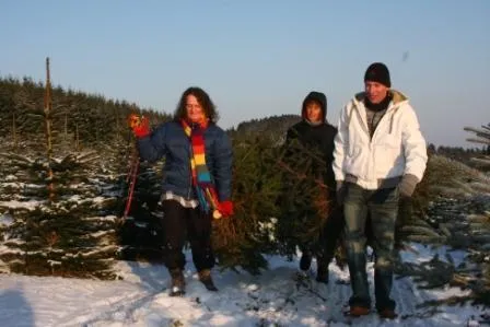 Weihnachtsbaum schlagen gehört zum Programm Bild: Weihnachtsbaum schlagen gehört zum Programm
