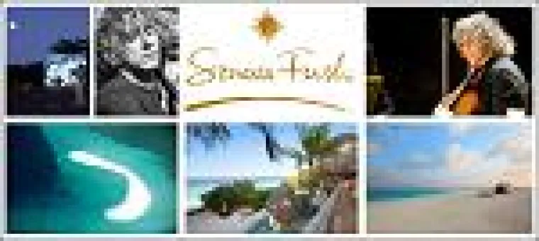Bild: Sandbank statt Konzertsaal