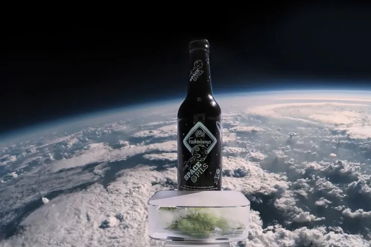 Bild: Neu und weltweit einmalig: Hachenburger Brauerei braut Space Pils mit Hopfen, der im Weltall war