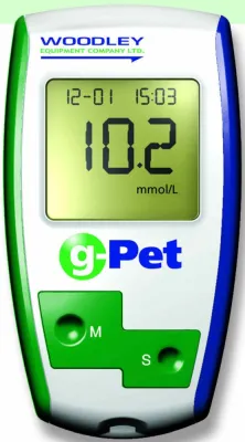 Bild: Auch Hund und Katze können Diabetes haben
