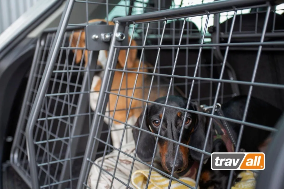 Das Gitterset von Travall sichert zwei oder mehr Hunde im Kofferraum. © Travall
