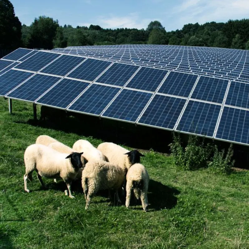 Der Solarpark in Dietzhölztal lag 2018 25% über der Ertragsprognose. (Foto: 7x7energie GmbH)
