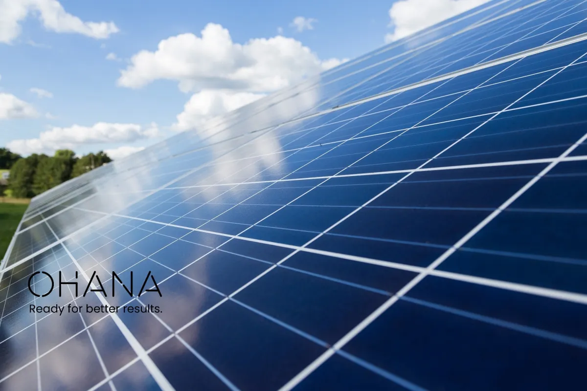 Als Teil unserer Ohana stehen Sie als Investor für uns im Mittelpunkt (© Bild von )