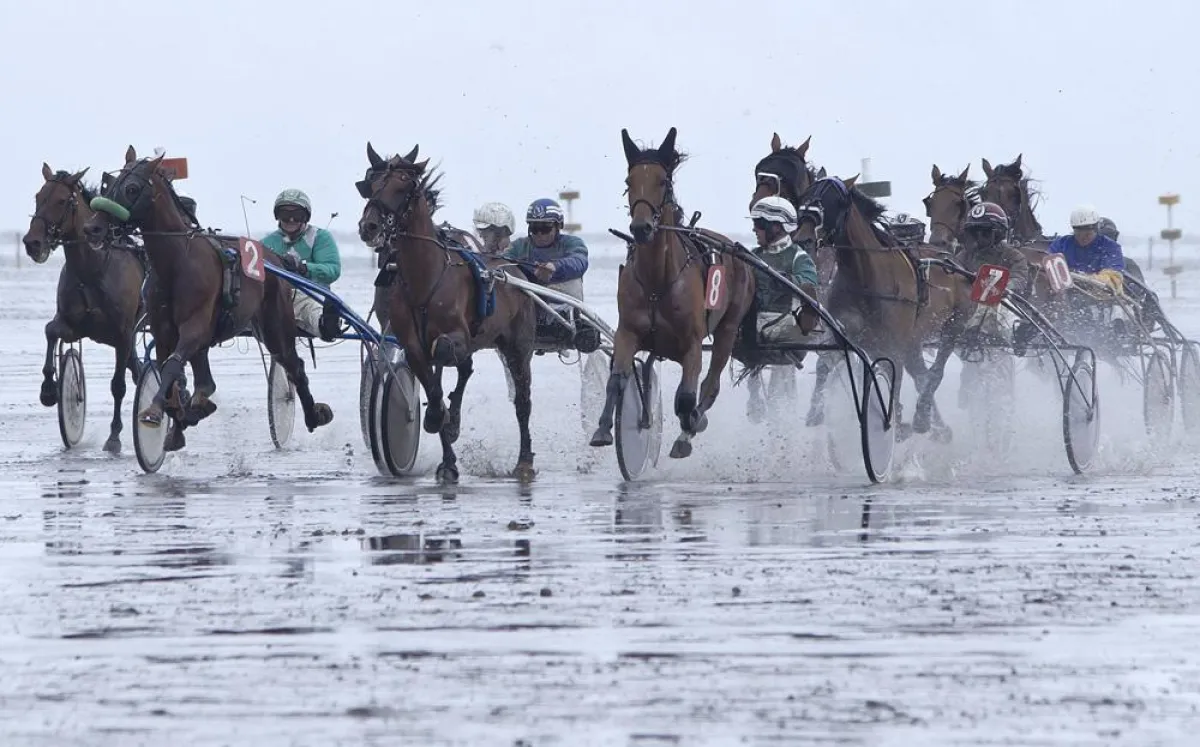 Maritime Großveranstaltungen in Cuxhaven: 2013 findet das Duhner Wattrennen am 18. August statt