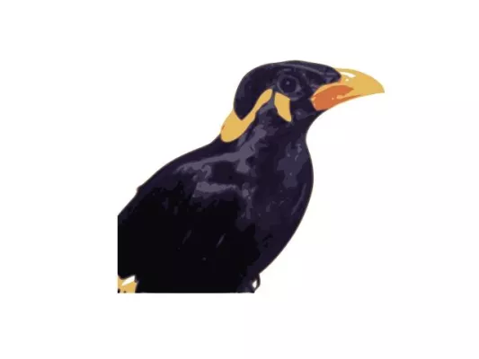 Bild: Leidenschaft mit Profession-Kommunikationsdienstleistung auf höchstem Niveau