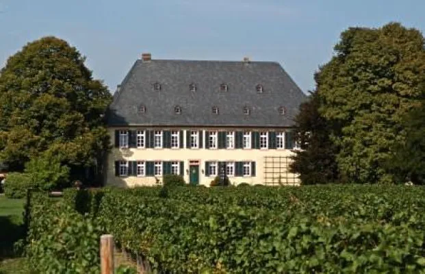 Bild: Weingut Baron Knyphausen und die MWC haben ein Herz für schwerstkranke Kinder