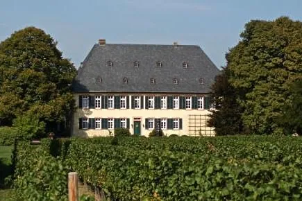 Weingut Baron Knyphausen und die MWC haben ein Herz für schwerstkranke Kinder Bild: Weingut Baron Knyphausen und die MWC haben ein Herz für schwerstkranke Kinder