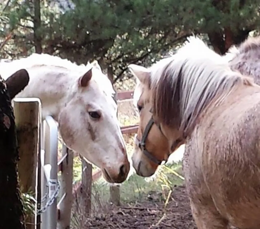 EPA Nebenberuflich zum Hauptberuf